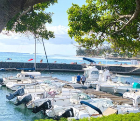 Résidence AU BORD DE L EAU chambre RIVE GAUCHE à Saint-Gilles climatisée pour 2 personnes